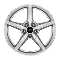 Ronal R69