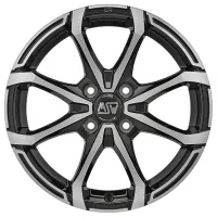 MSW X4