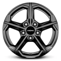 Ronal CA1