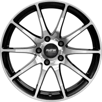 Platin P 113