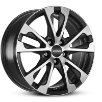 Ronal R61