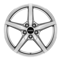 Ronal R69