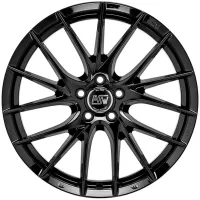 MSW 29