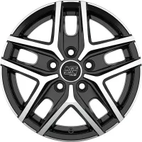 MSW 40 VAN
