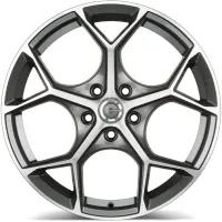 Carbonado Fancy