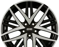 CMS B1
