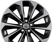 CMS C21