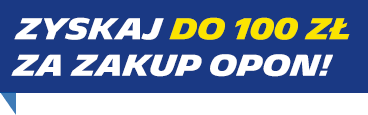 Zyskaj do 100 zł od Michelin!