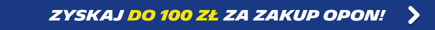 Zyskaj do 100 zł od Michelin!