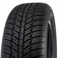 Roadx  RX Frost WH01 195/50 R15 86 V