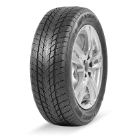 Davanti Wintoura 215/60 R17 96 H