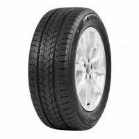 Davanti Wintoura SUV 275/40 R22 108 V