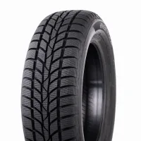 Hankook Winter i*cept RS W442 205/70 R15 96 T