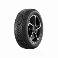 Bfgoodrich Advantage All-Season 205/55 R16 91 H