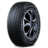 Gt radial WINTERPRO2 (EVO)* 175/70 R13 82 T