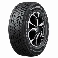 Gt radial WINTERPRO2 (EVO)* 175/70 R13 82 T