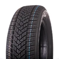 Dunlop Winter Sport 5 195/65 R15 91 H