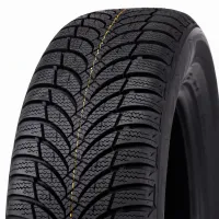Roadstone WINGUARD Snow'G 2 205/60 R15 91 H