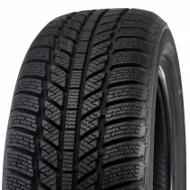 Roadx  RX Frost WH01 195/65 R15 91 H 2024