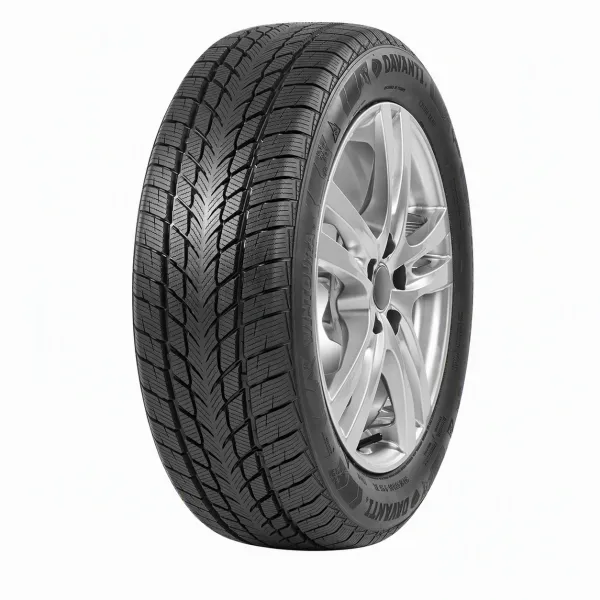 Davanti Wintoura 215/60 R17 96 H