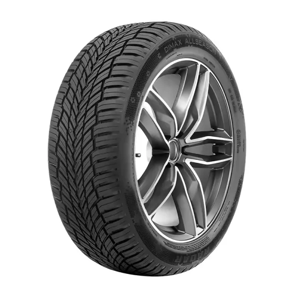 DIMAX ALL SEASON 205/55 R17 95 W