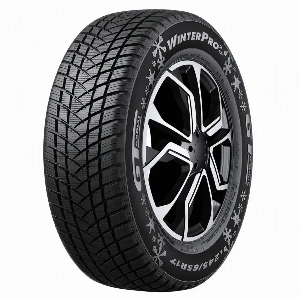 Gt radial WINTERPRO2 (EVO)* 205/55 R16 91 H 2025