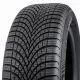 Dunlop All Season 2