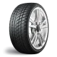 Gt radial WINTERPRO 2 SPORT