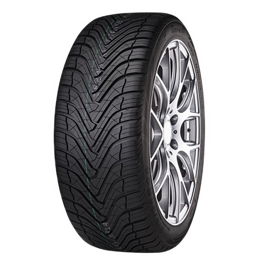 Gripmax SUREGRIP A/S 205/55 R17 95W