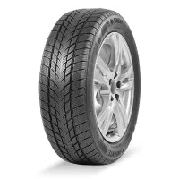 Davanti Wintoura 185/55 R16 87 T