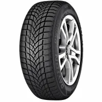 Dayton DW510 EVO 225/55 R16 95 H