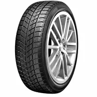 Doublestar DW09 235/55 R20 102 H