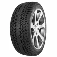 Fortuna GOWIN UHP2 255/40 R19 100 V