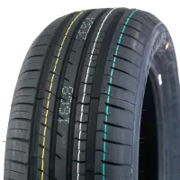 Fronway ECOGREEN 55 195/55 R16 91 V