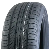 Fronway ECOGREEN 66 215/65 R17 99 T
