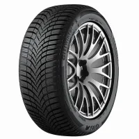 Giti GitiWinter W2 225/45 R17 91 H