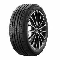 Michelin Primacy All Season 255/50 R19 107 H