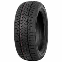Minerva FROSTRACK UHP 255/35 R20 97 V