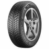 Point S Winter S 195/65 R15 91 T