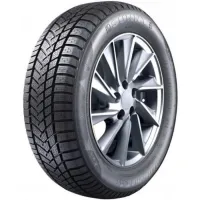 Sunny NW211 225/55 R16 99 H
