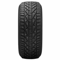 Tigar ICE 205/65 R15 99 T
