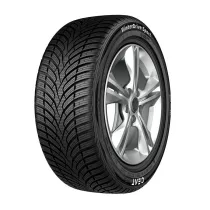 WinterDriveSport 245/45 R18 100 V