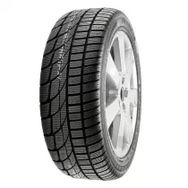 SW601 205/55 R16 91 H