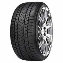 Gripmax SureGrip Pro Winter 255/35 R21 98 V