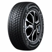 Gt radial WINTERPRO2 (EVO)*