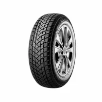 Gt radial WINTERPRO 2