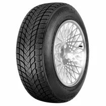 Landsail WINTER LANDER 205/55 R17 95 H