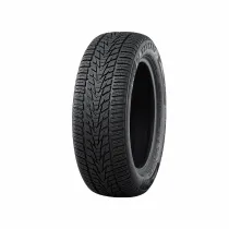 Nankang Winter Activa 4
