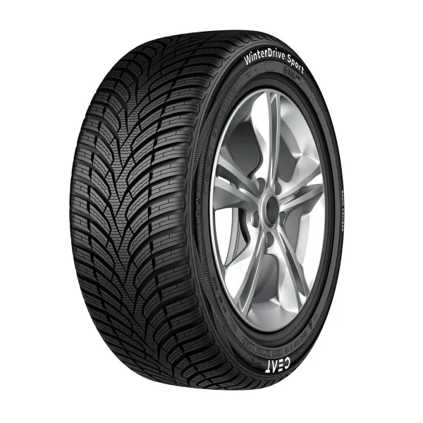 WinterDriveSport 245/45 R18 100 V