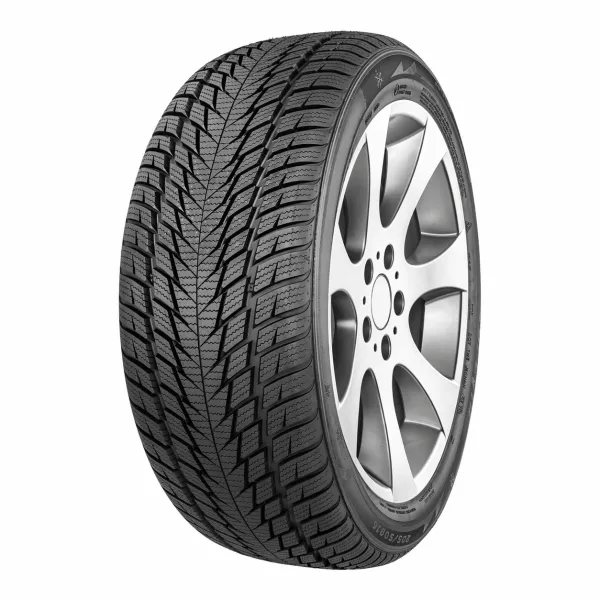 WINTER SUV2 225/55 R19 99 V